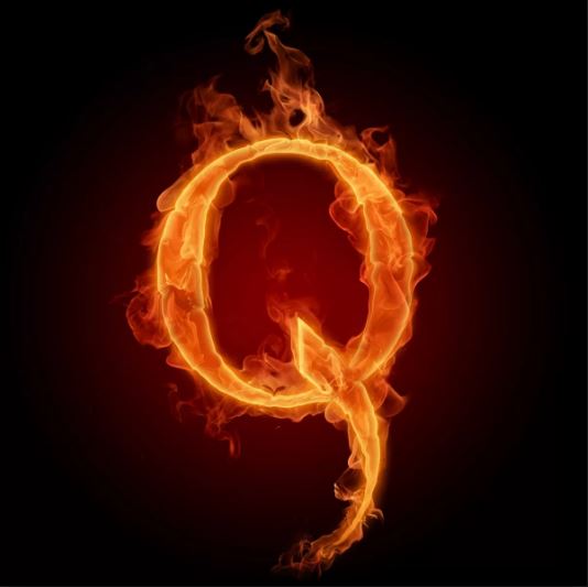 Q sent us. We want our fucking country back!